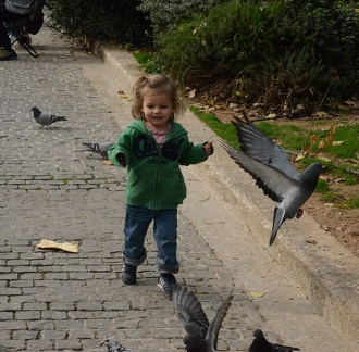 Causing mayhem with pigeons